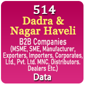 514 DADRA & NAGAR HAVELI B2B Companies Data - In Excel Format