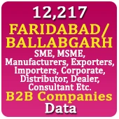 12,217 FARIDABAD / BALLABGARH B2B Companies Data - In Excel Format