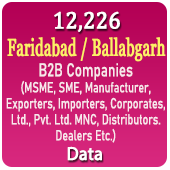 12,226 FARIDABAD / BALLABGARH B2B Companies Data - In Excel Format