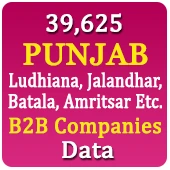 39,625 PUNJAB (Ludhiana, Jalandhar, Batala, Amritsar Etc.) B2B Companies Data - In Excel Format