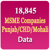 Punjab / CHD / Mohali 18,845 MSME Companies (All Types) Data - In Excel Format