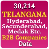 30,214 TELANGANA (Hyderabad, Secunderabad, Medak Etc.) B2B Companies Data - In Excel Format