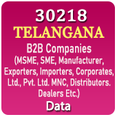 30,218 TELANGANA (Hyderabad, Secunderabad, Medak Etc.) B2B Companies Data - In Excel Format