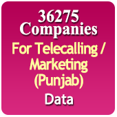 For Telecalling / Marketing Data From Punjab - 36275 B2B Companies Data - All Types Manufacturers, Exporters, Importers, Corporates, Distributors, Dealers, Retailers, Professionals Etc. - In Excel Format