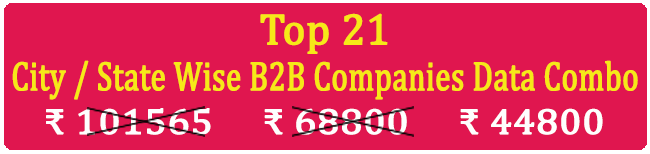 Top 21 Types Super Saving  City / State Wise B2B Companies Data Combo - In Excel Format