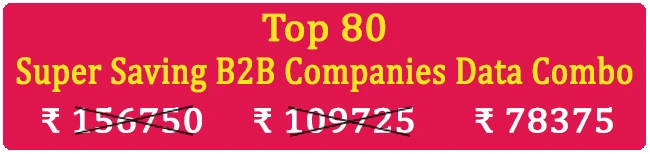 » Top 80 Types Super Saving  Business 2 Business Companies Data Combo - In Excel Format 
