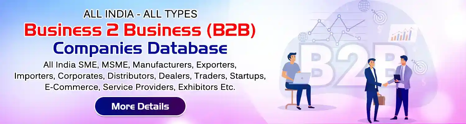 b2b database provider
